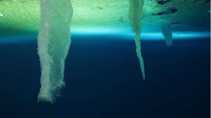 https://www.ap22.ru/paper/Ledyanoy-palets-smerti-pod-vodoy-ubivaet-vse-zhivoe.html