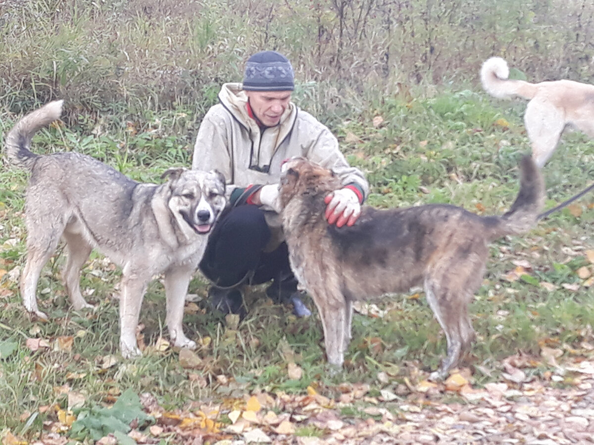 Остановка- повод нежно посмотреть друг другу в глаза