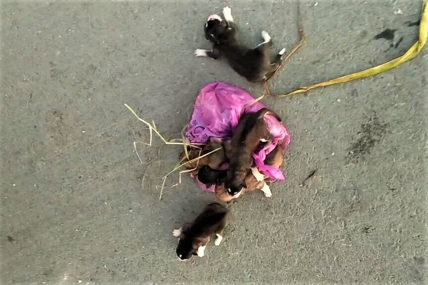 | Фото: ООО "ТЭО"