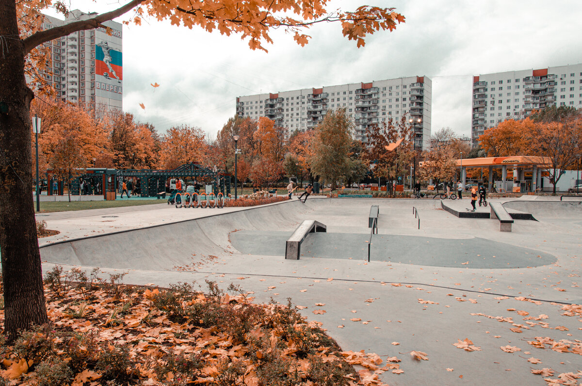 Скейт-парк (фото: архив «Мой район»)