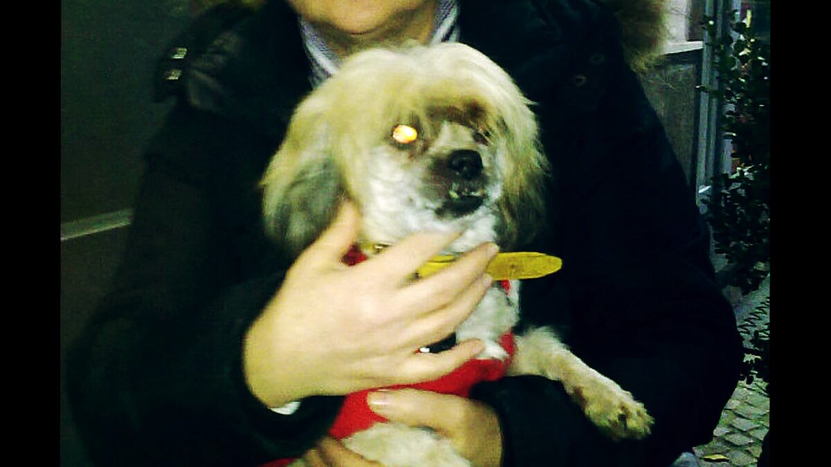 Но это наша любимица.