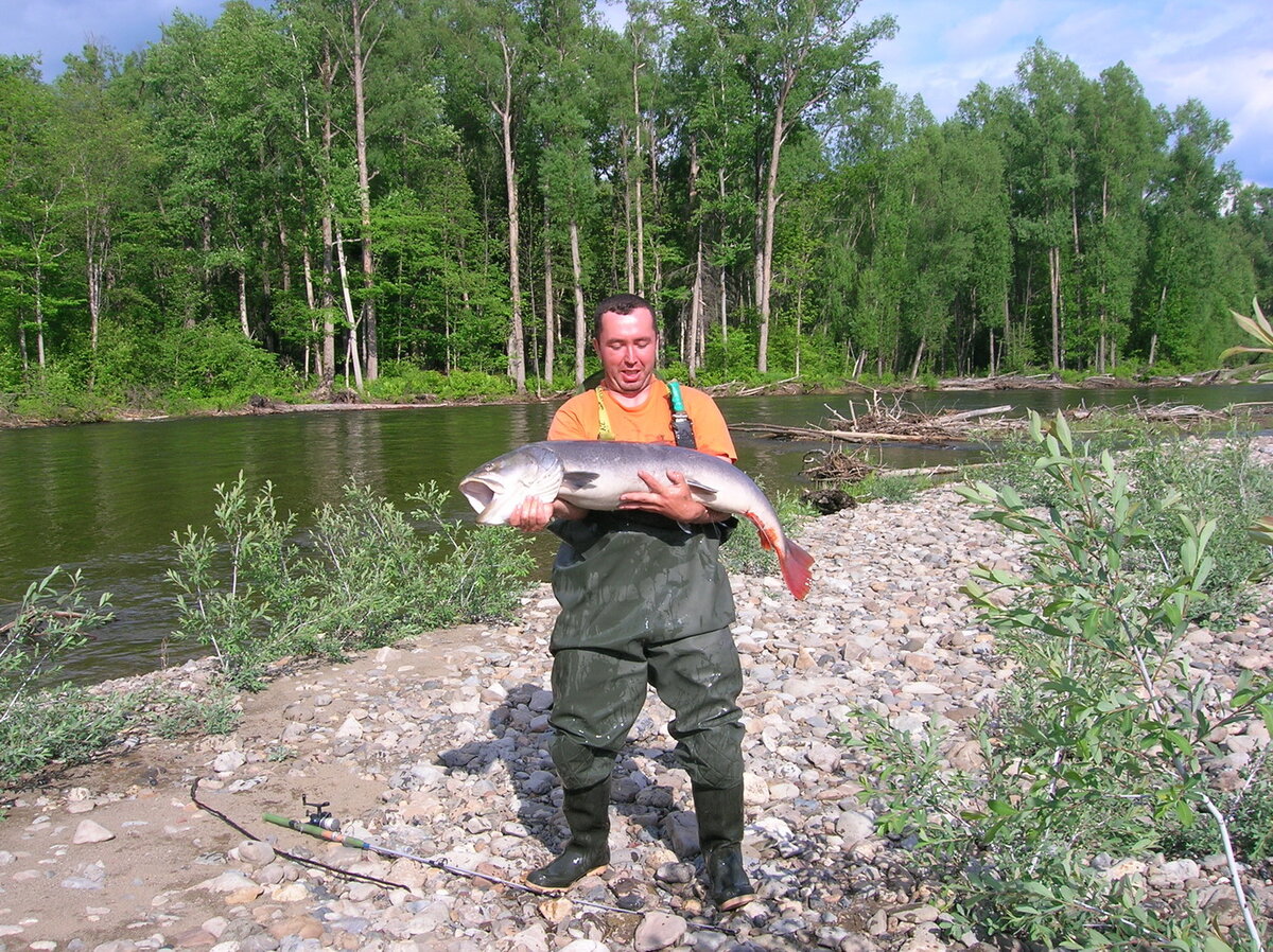 Последний таймень.