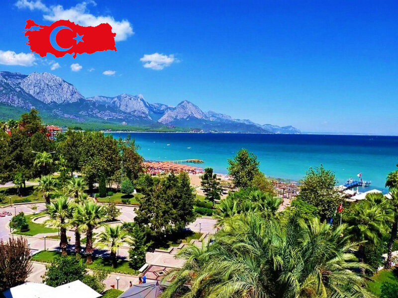 фото Яндекс картинки