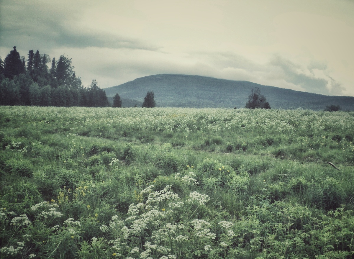 Россия, республика Карелия, национальный парк Паанаярви