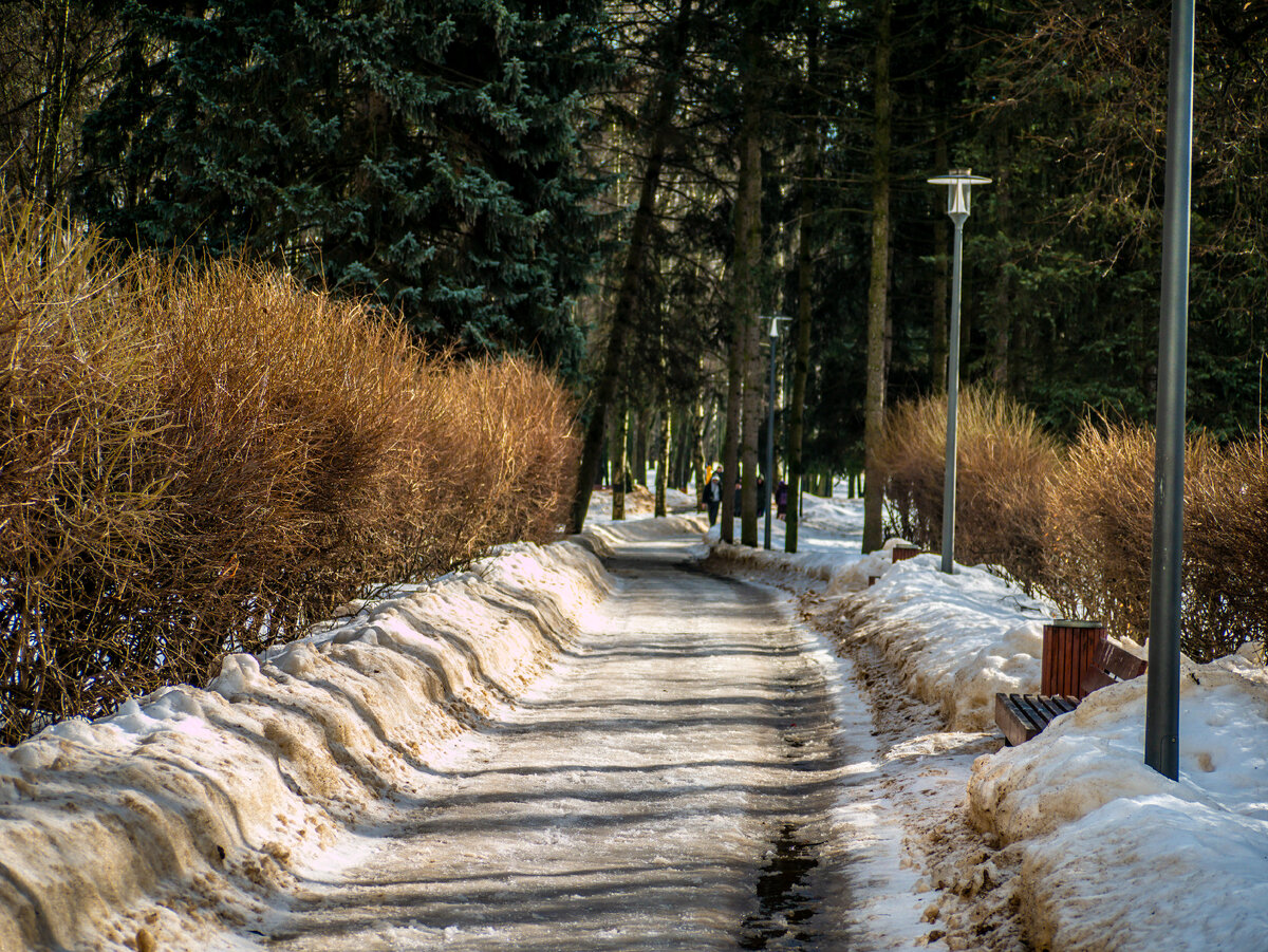 Вот прям еще немного и от фотографии запахнет весной)) 
