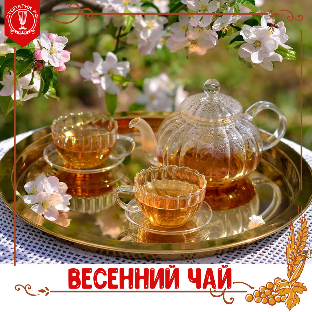 Вечернее чаепитие картинки