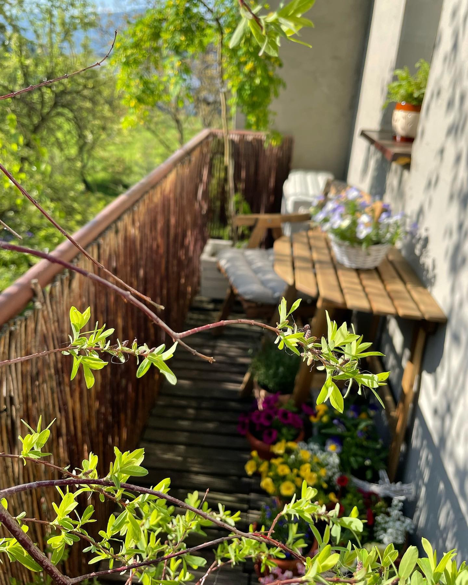 Соцсети блогера Beatas P