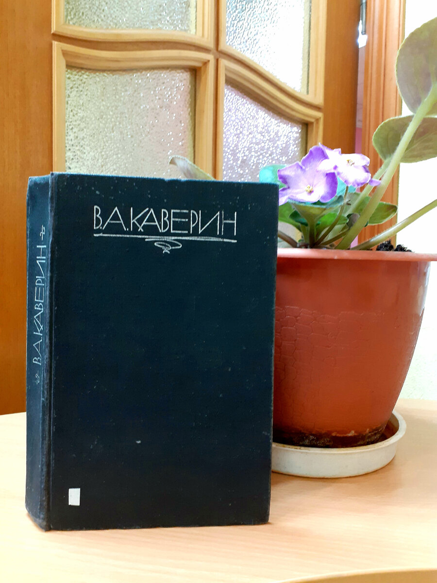 Каверин, В.А. Скандалист, или Вечера на Васильевском острове. Отзыв на  ранний роман известного писателя | Реплика от скептика | Дзен