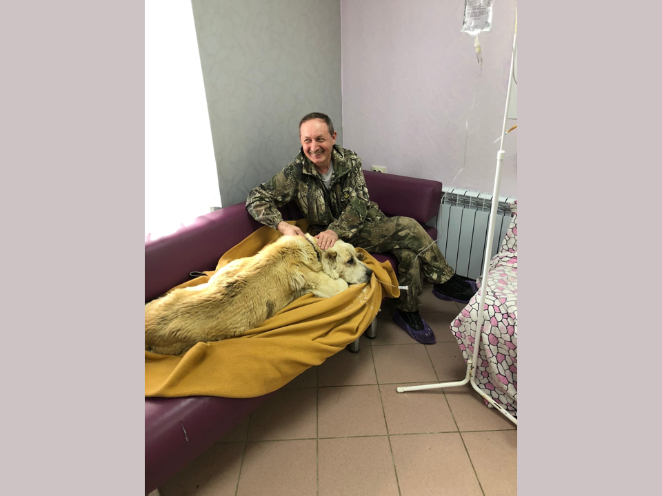 Владимир возил найденного алабая в клинику в нашем городе