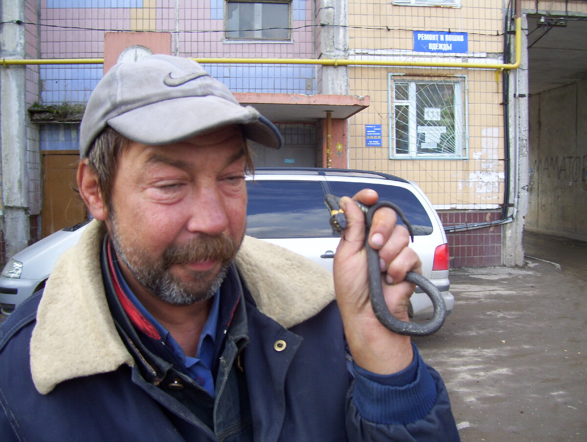 Бизон. В руке уж.