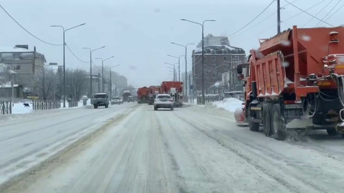 Какие последствия принесла метель на Ставрополье | newstracker.ru | Дзен