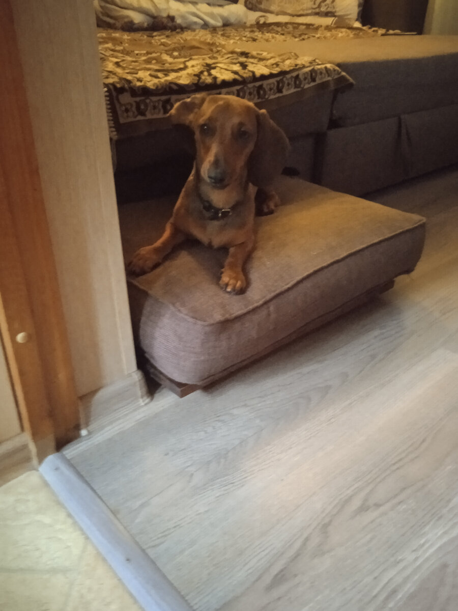 Люди Вы где?