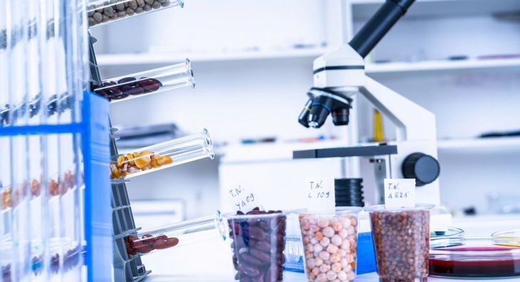    Активизацию торговли зерном между Россией и Китаем подтверждает Приморский филиал Центра оценки качества зерна