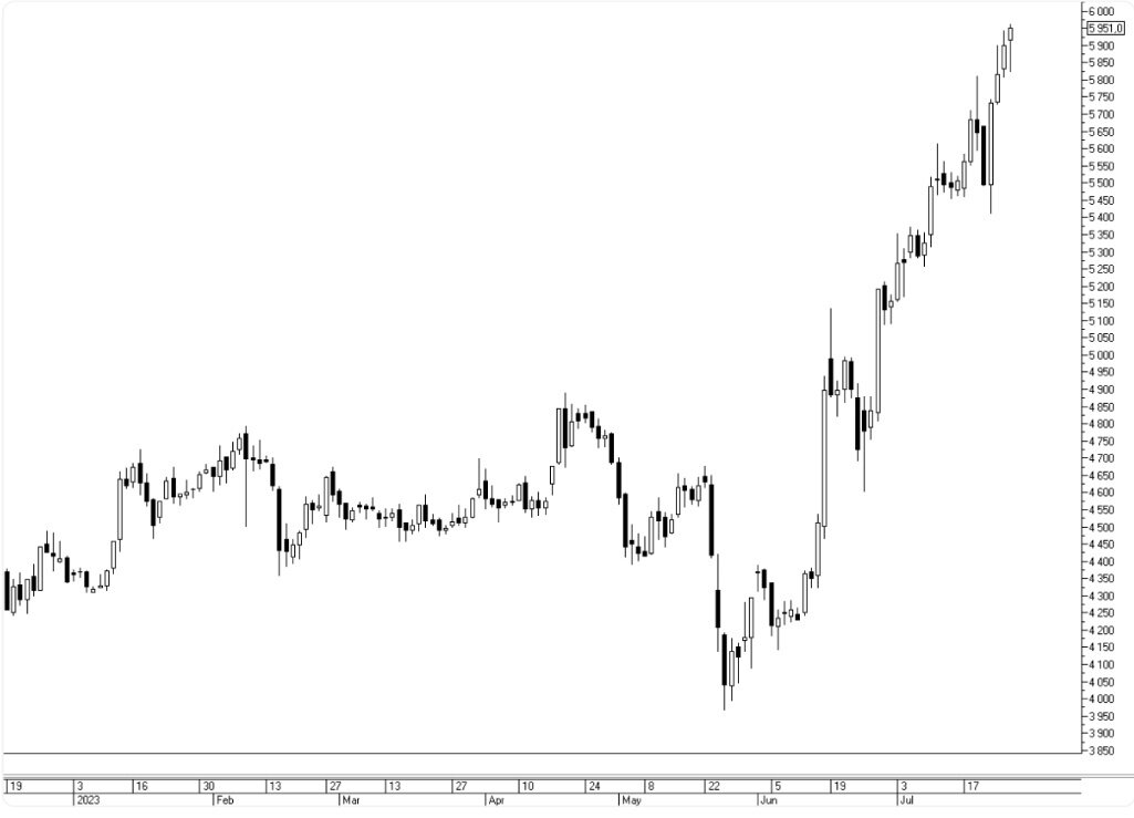 Магнит, дневной интервал