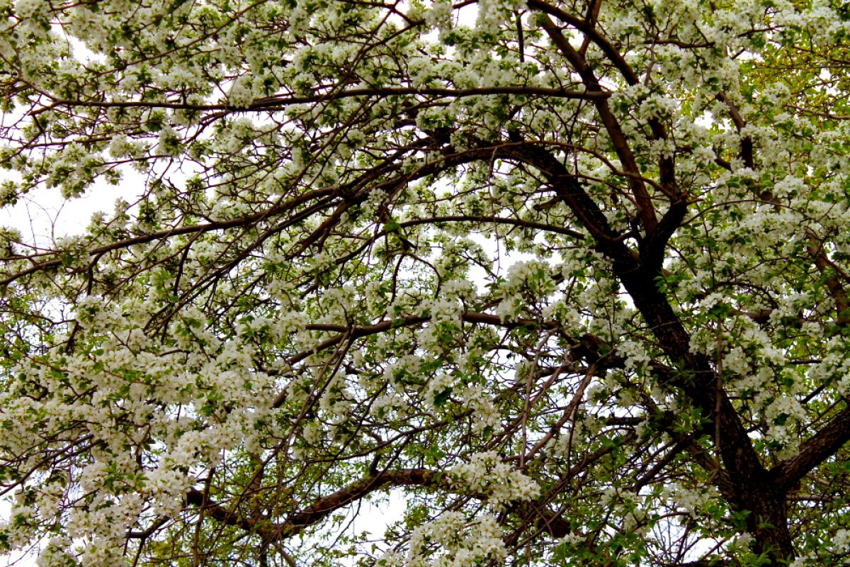    Краснодарские власти ищут финансирование для обустройства участка