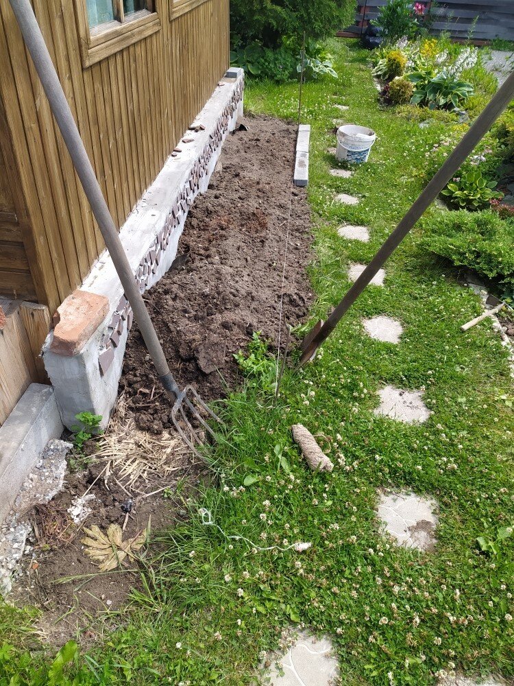    Очертила границы цветника