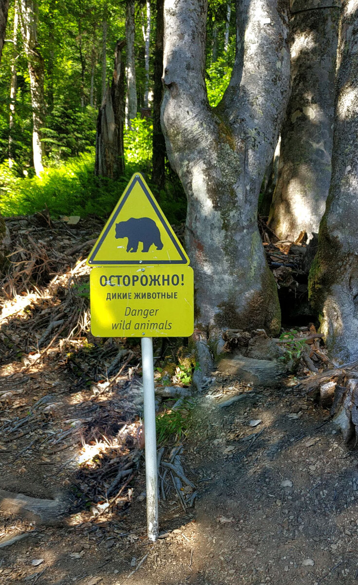 Такие предупреждения можно часто встретить на маршрутах курорта