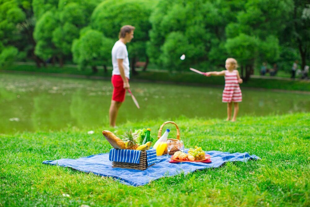 Пикник главное. Семейный пикник. Летний пикник на природе. Семья на пикнике. Летний пикник.