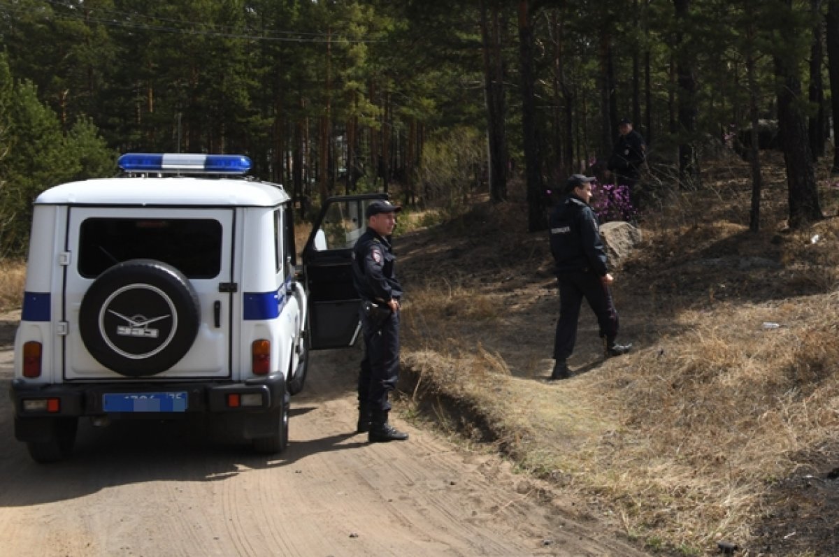    «Бесплатный борщ».