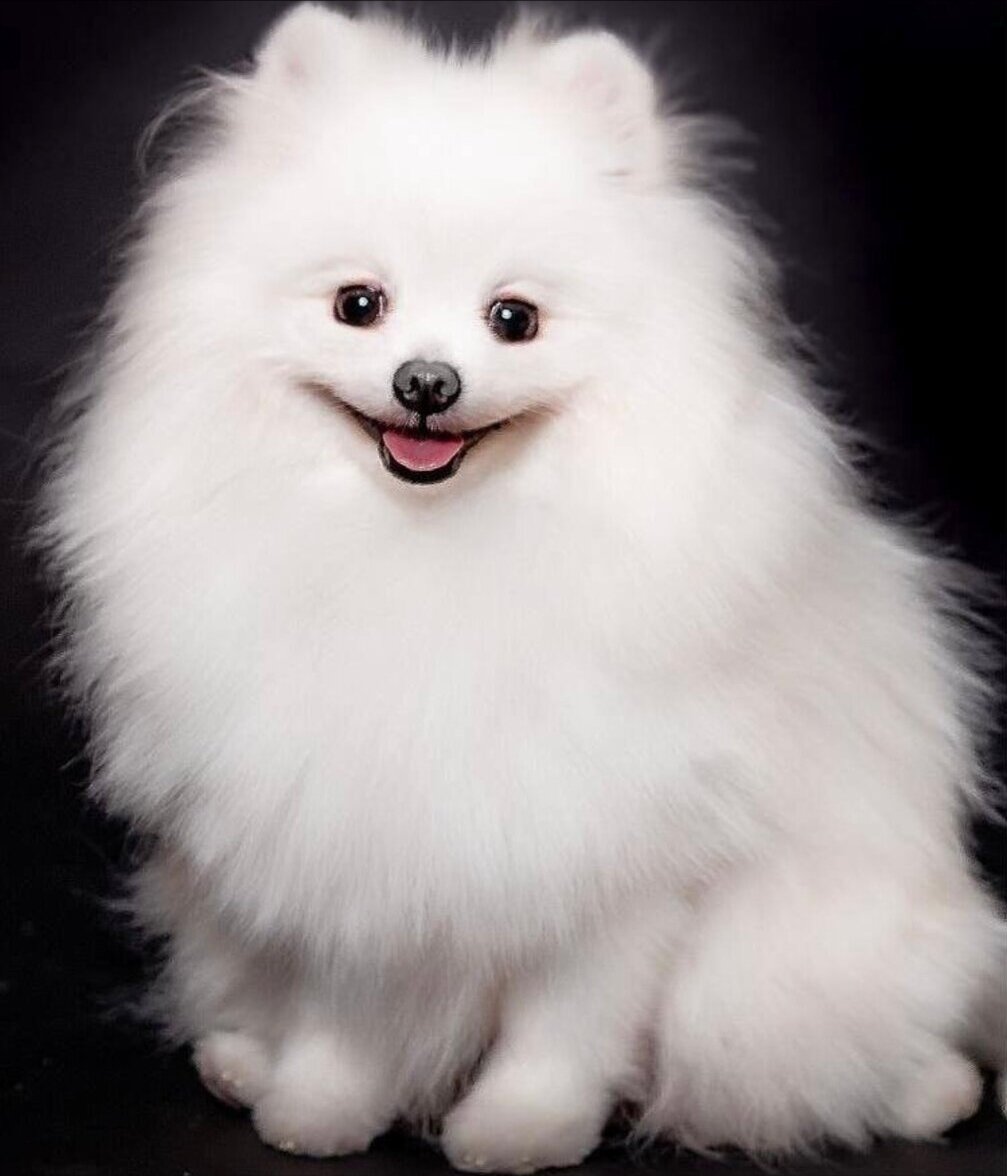 Фото взято из просторов интернета