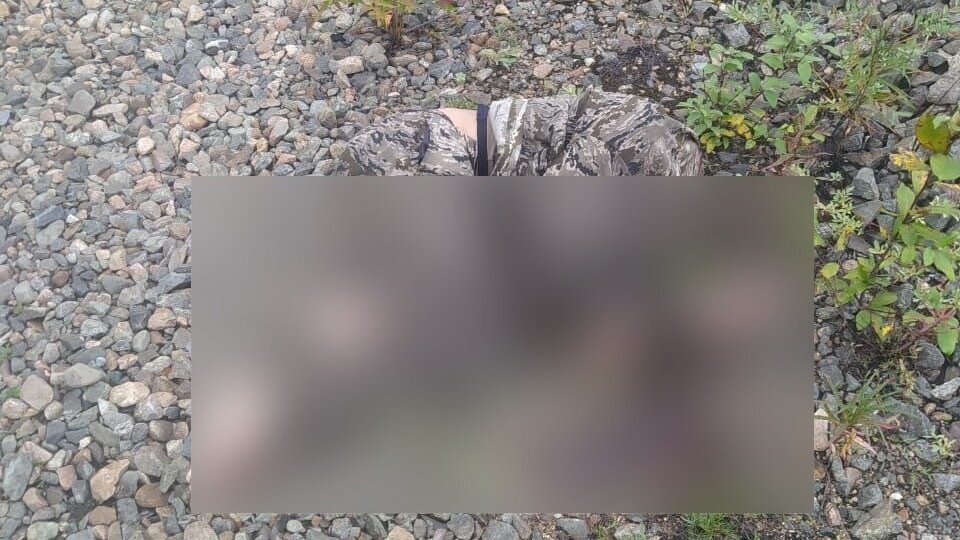     В красноярских пабликах появилась информация о найденном на железнодорожных путях теле человека с отрезанной головой. В МВД сообщили, что это «скорее всего фейк».