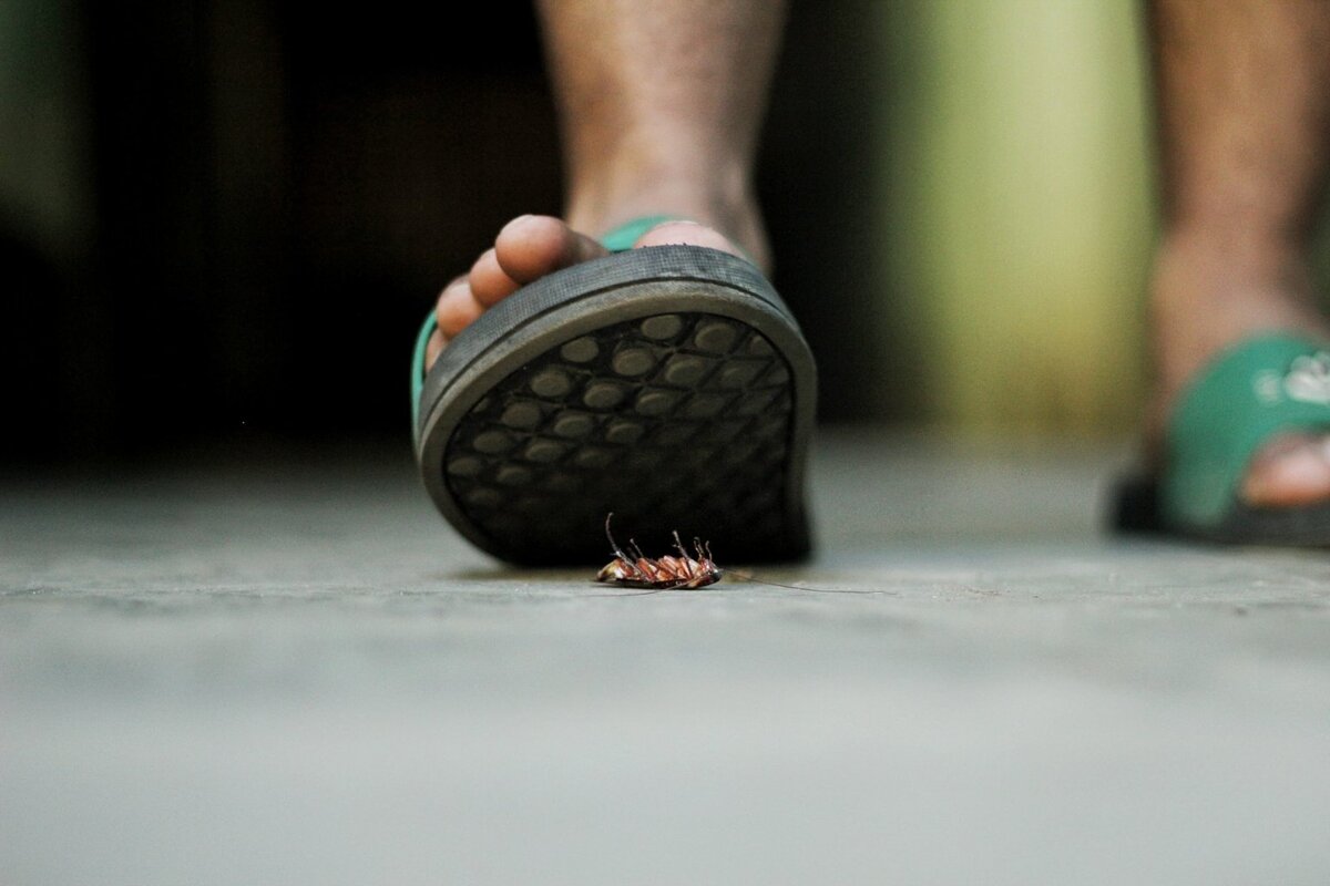    unsplash.com