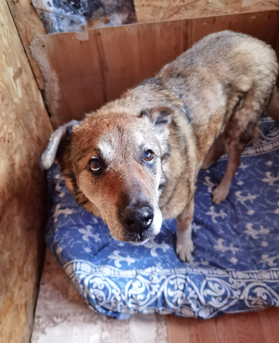 Мой лежак. Люблю его 