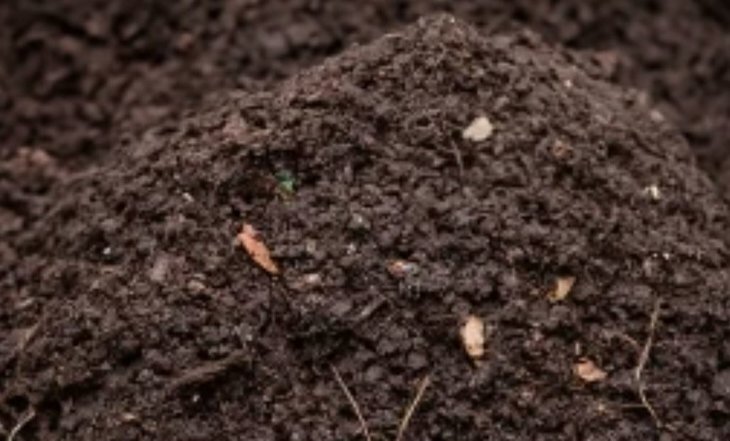    Участок биокомпостирования пищевых отходов запустят во Владивостоке