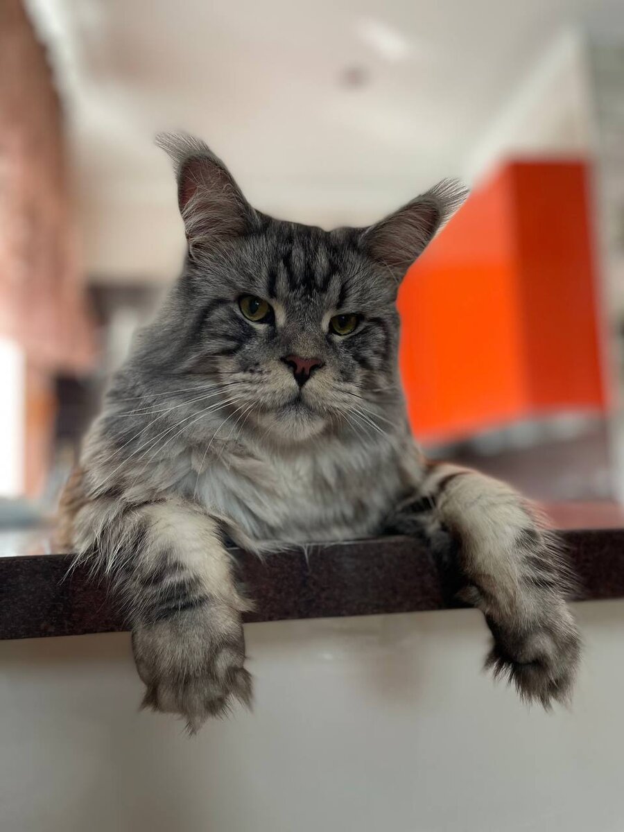 Фото из личного архива.