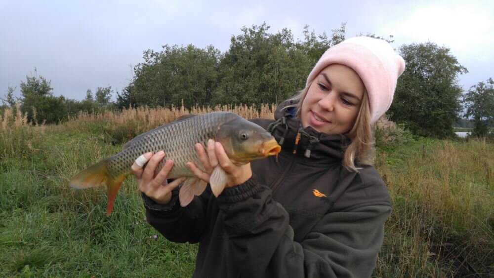 картинка из интернета