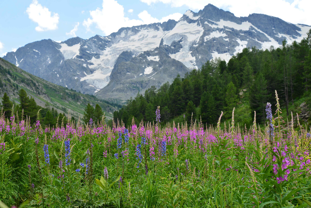 Фото Ольга Шадрина