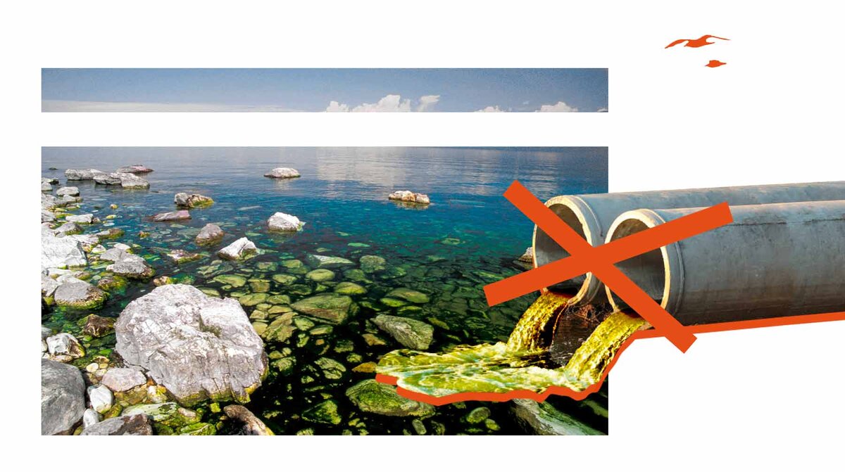 Коллаж: © Daily Storm