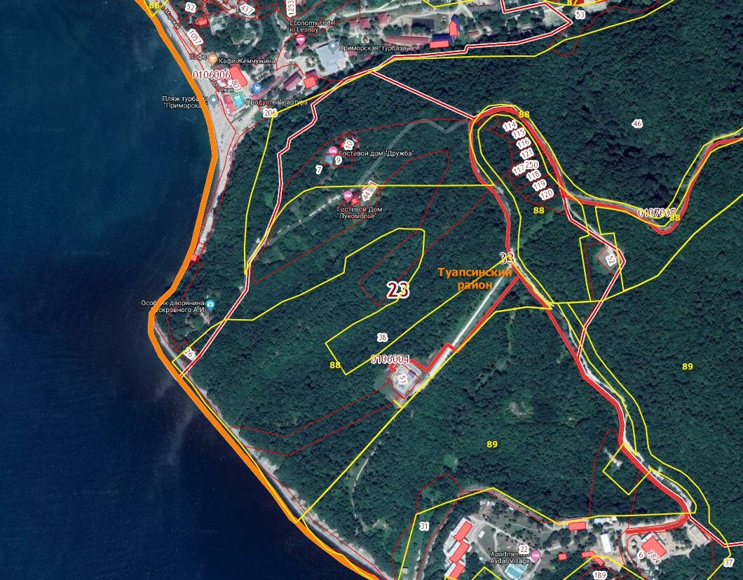 Желтыми линиями лесные квартала, красными - границы кадастровых участков