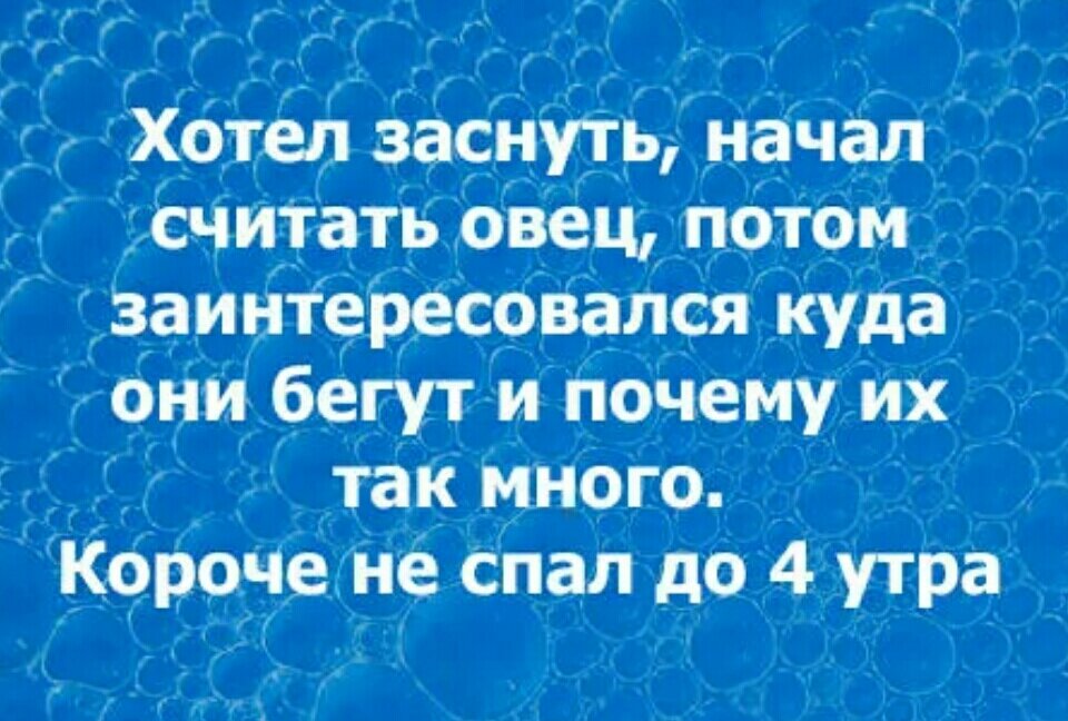 Пора считаться. Считать овец прикол. Шутка про овец считать. Считать овец чтобы уснуть. Анекдот начала считать овец.