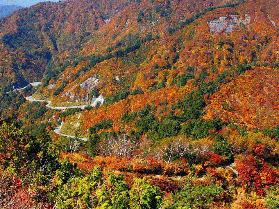 Необычайная красота!