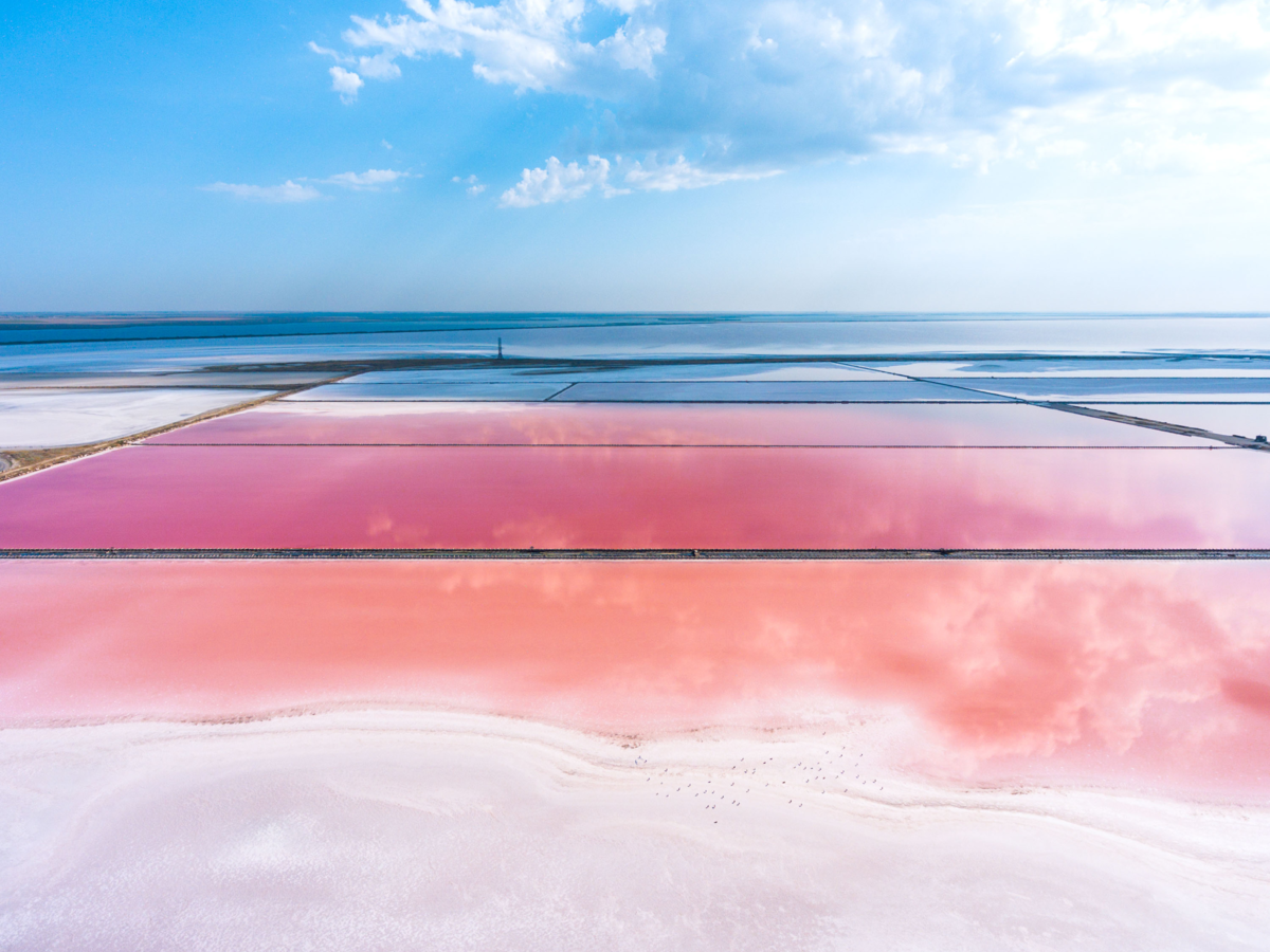 Вода стала розовой. Сасык-Сиваш. Сасык Сиваш озеро. Розовое озеро Сасык-Сиваш. Озеро Сиваш коса.