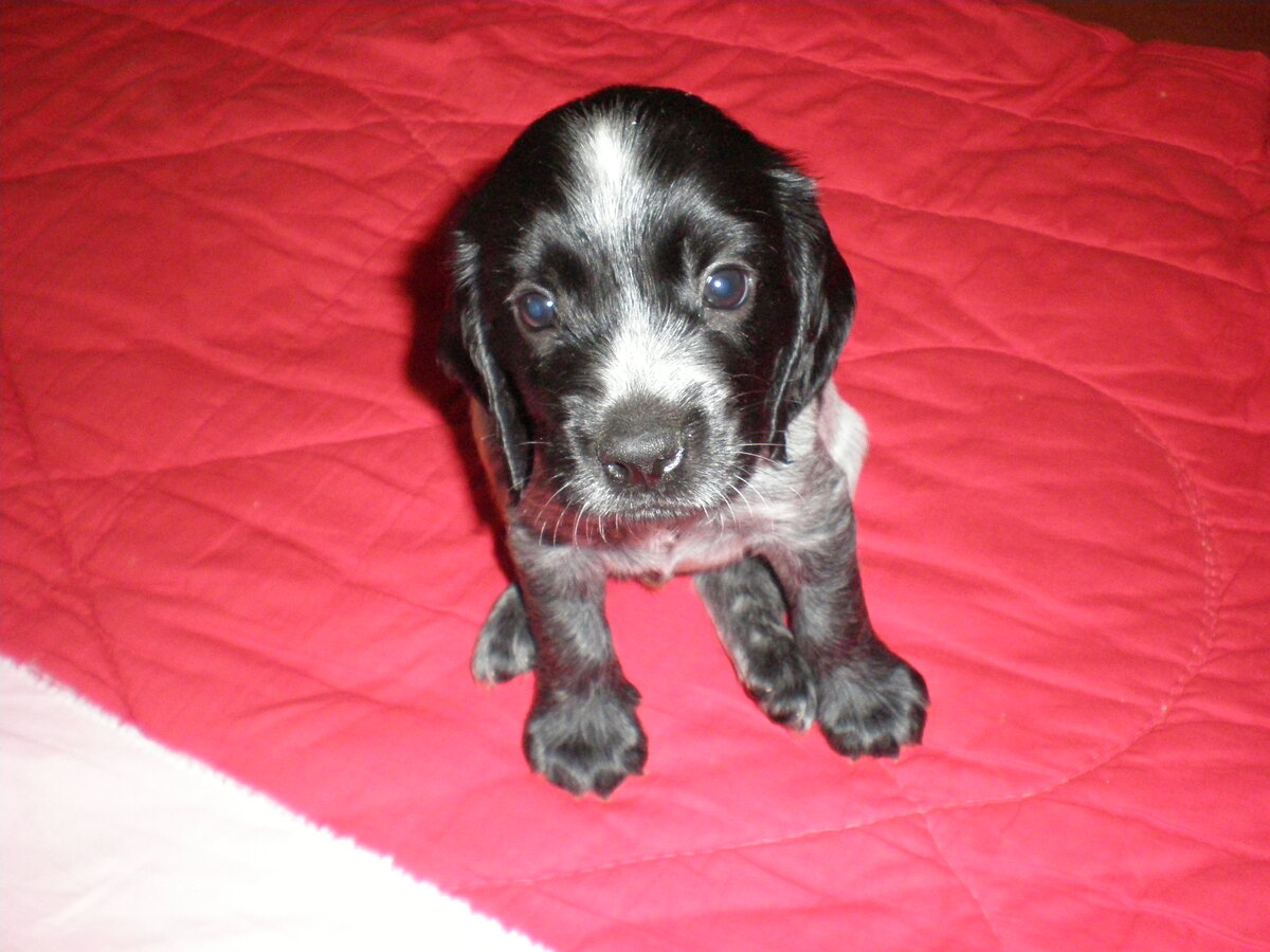 Это - Грей, но не я