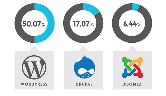 Как следует из диаграммы, почти половина вебсайтов разрабатывается на платформе WordPress.