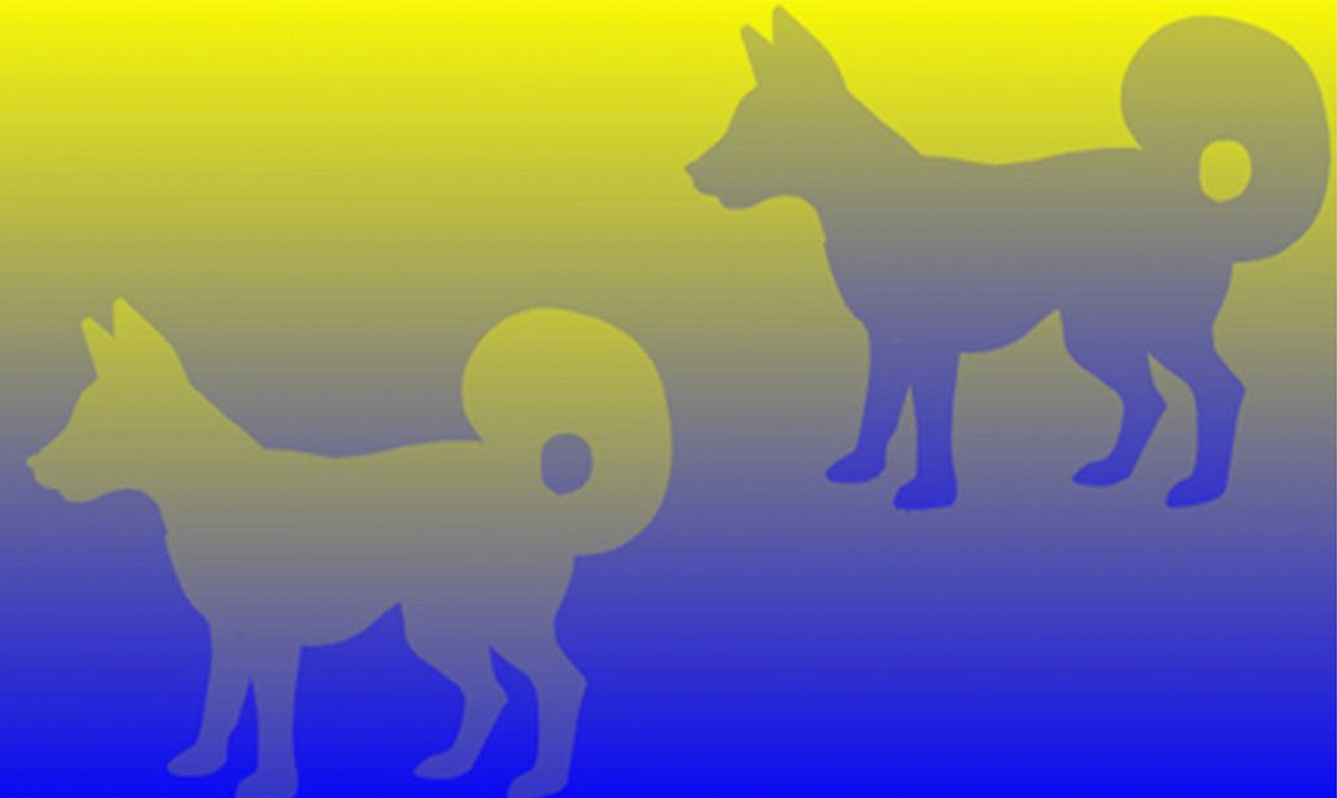 Изображение из открытых источников