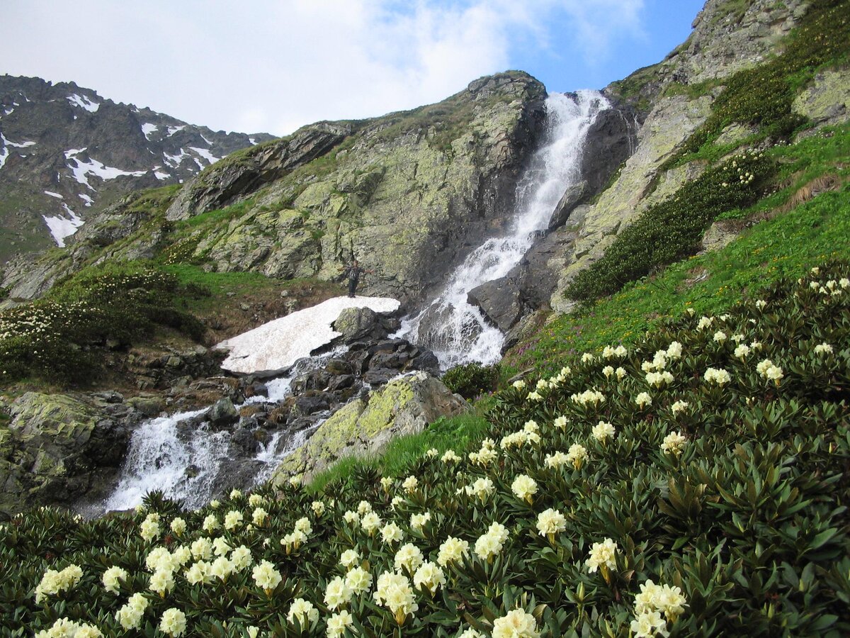 Картинка из свободного доступа в интернете