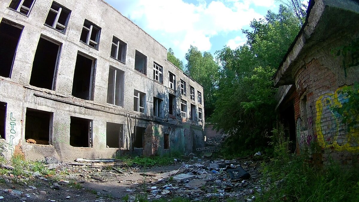 Фото автора. Июль 2019 г. 