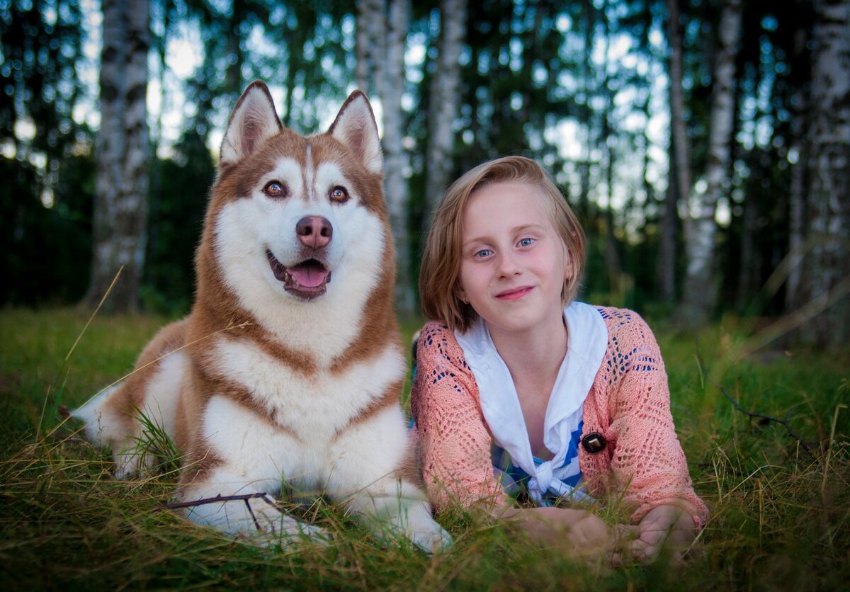 Три года делаю фото детей с одной и той же собакой. Это уже стало  традицией))) | In Dogs we Trust | Дзен