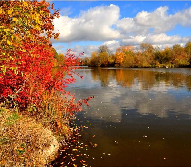 Осень на реке