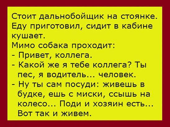 Картинка взята из открытых источников