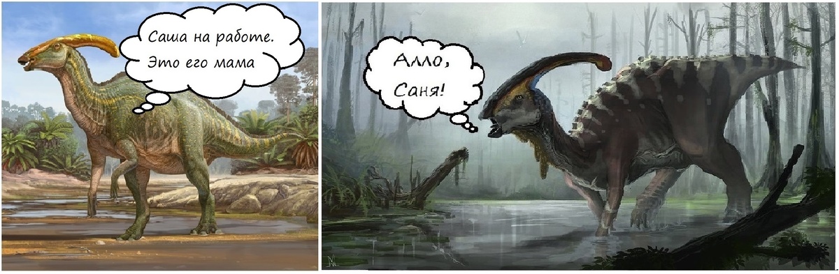 Уже взрослый, а всё ещё не съехал из родительской пещеры