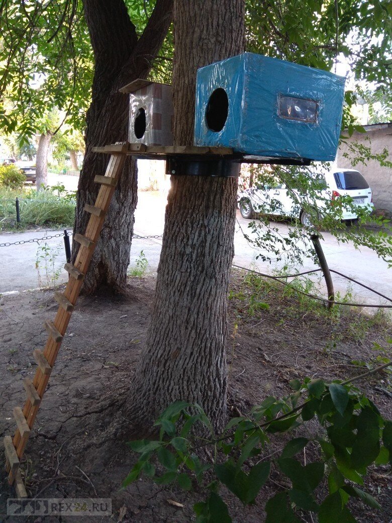 Фото: Наталья Ануфриева