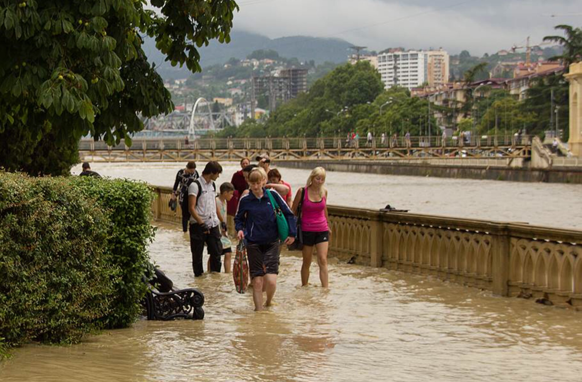 картинка  из свободного доступа в сети интернет