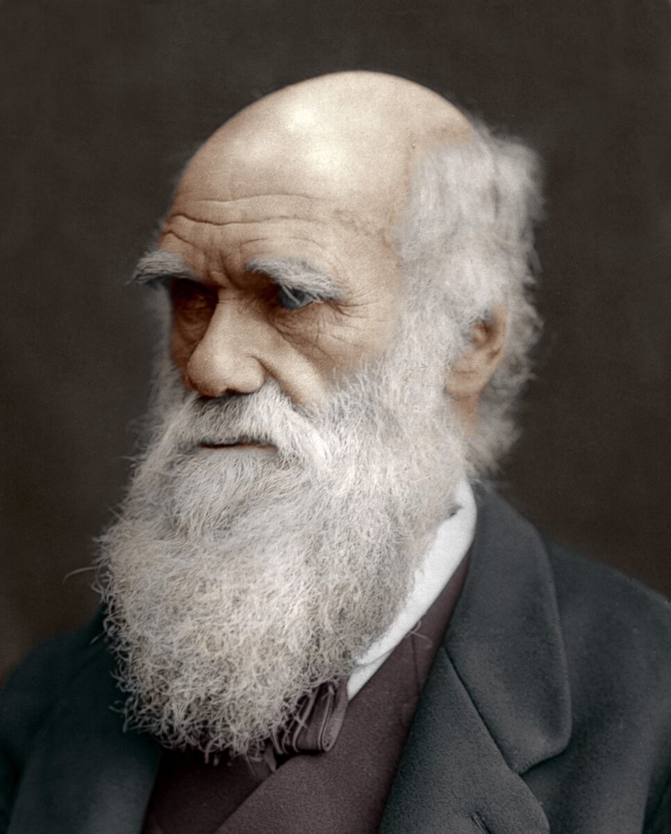 Чарльз Роберт Дарвин (1809-1882)