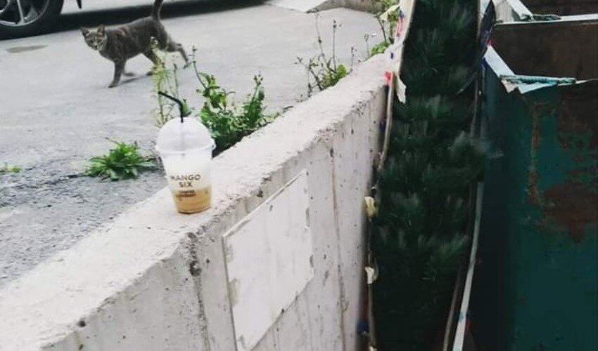 Фото: facebook.com/mary.denisenko