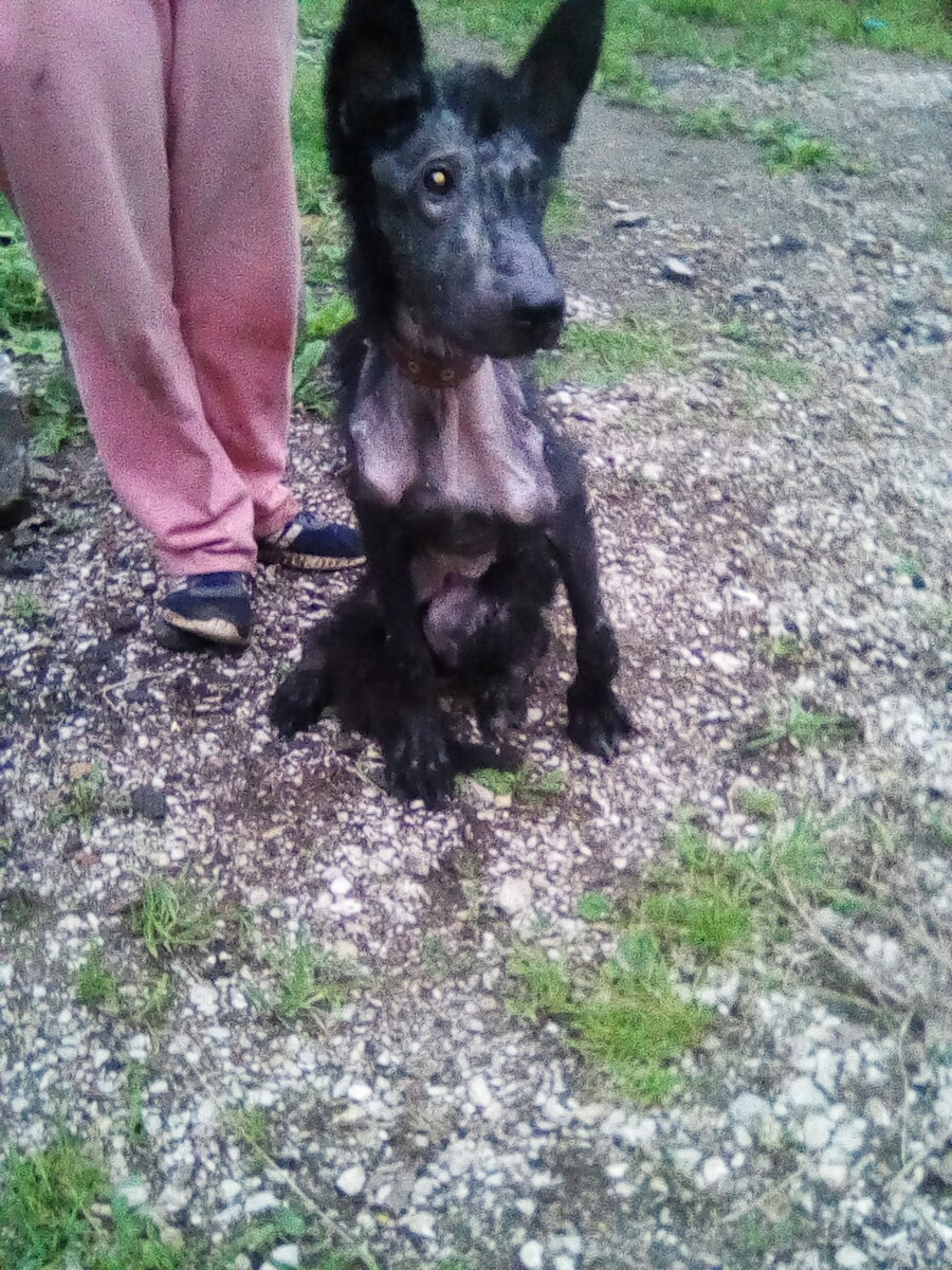 Снаружи было видно мольбу о помощи, а душа ревела от предательства